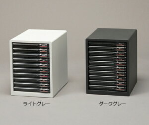 ACXI[} ^[P[XX L-10SR(CgO[)