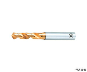 �I�[�G�X�W�[ EX�S�[���h�h�����@�X�e�����X�E��|�p�X�^�u�@10�@61600 EX-SUS-GDS-10.0 1�{
