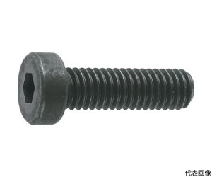 gXRR ᓪZpt{g ߑSlW M5×8 13{ B081-0508 1pbN(13{)