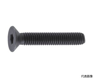 gXRR ZptM{g  SlW M6×20 50{ B73-0620 1pbN(50{)