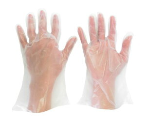 ~hS |G`ĝĎ OG{X S i200j VERTE-565N-S 1(200)