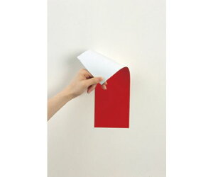 }OGbNX }OlbgʃJ[V[gԔ MSR-10RW 1