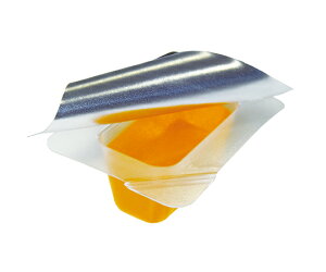 UHAo 𚐔\͑pO~[[iʁj@100 1(100)