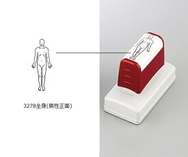 医療用スタンプ　全身男性正面 1個