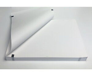 Sd}pL^i܂݌^j@210mm×295mm×100m 1