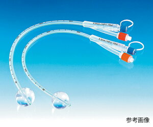 [VfBJ [V@NᑃJe[e@24Fr@ 1(10{)