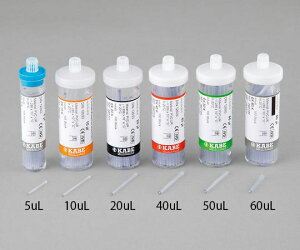 vX`bNGhgDGhэ׊ǁivCj@60L@100{ 1P[X(100{)