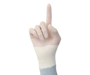 hC ZVPA@AGipp܁j@8.0@25o 1(25o)