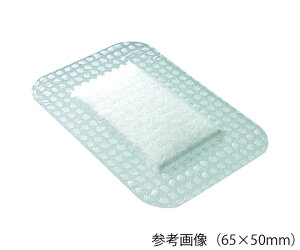 X~Xlt[ IvTCg@Post-OpIIiŒzpbhj@65×50mm@EOGŋۍρij@100 1(100)