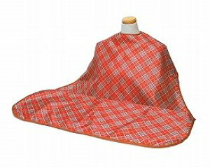 ()ߗ HO|i͂j 1011@`FbNIW