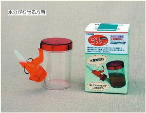 Y pH炭炭SbN X[v p ʒߊt