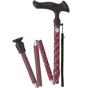 ytWz[zXebL邪E ܏S s