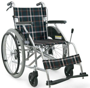 ԂipEA~jw܂ꎮKV22-40SB