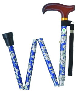 tWz[ @XebLAJ܂肽ݎԕ