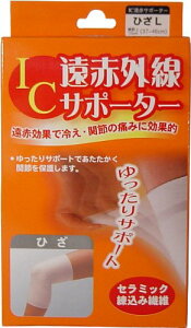 nVEjbg ICԃT|[^[ЂL yCPz |Xg