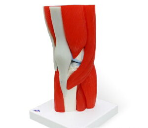 yzyNk Ώېiz3BЁ@ؓtG֐ߖ͌^ G֐ߋؕt12f (a882) l̖͌^