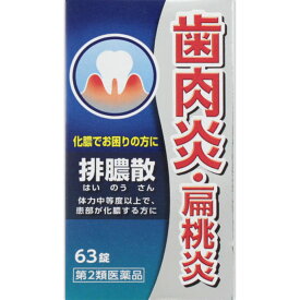 【第2類医薬品】ジェーピーエス製薬 排膿散エキス錠J 63錠