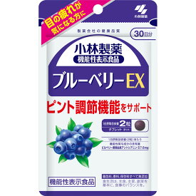 小林製薬 ブルーベリーEX 60粒 【健康食品】