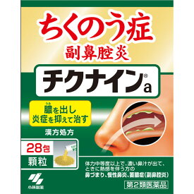 【第2類医薬品】小林製薬 チクナインa 28包