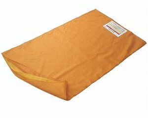 gC[W[XChV[g (TES-100)