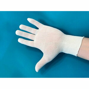 Ci[܁iSwtBbg^CvjNHG-9001TWH(t[)50\E