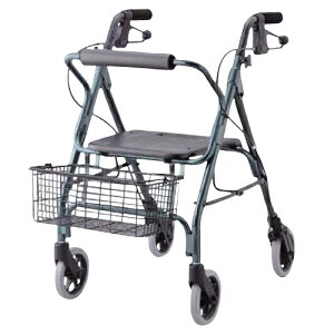 yzyNk Ώېizs⏕ԁ@gx[ O[ N-4600