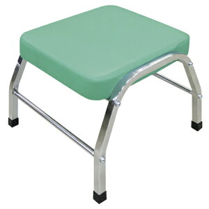 yzyNk ΏېizI[`FA[ CG[ W450×D450×H420mm TB-51