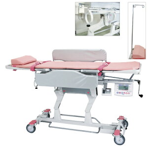 �y���������z�y�������N���k �Ώې��i�z�͂���t�X�g���b�`���[�i����i�j BMI�\���^�C�v DP-7310PW