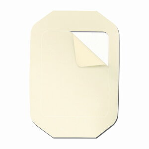 X[GWp eK_[gXyAg 1626(10X12CM)50}C ̔PʁF1