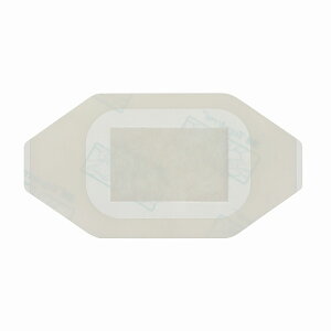 X[GWp eK_[gXyAgpbht 3582(5X7CM)50}C ̔PʁF1