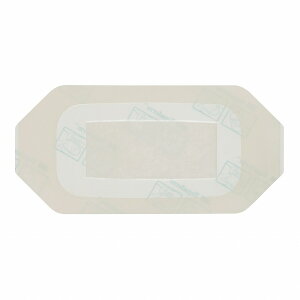 X[GWp eK_[gXyAgpbht 3584(6X10CM)50}C ̔PʁF1