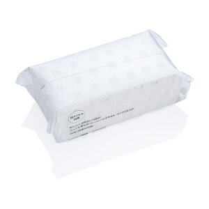 FSX Rۂӂ_炩y[p[^I 3240004(30R) ̔PʁF1