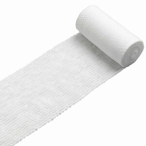 �|�� �L�k��у��|SSNo�D8 021008(10�J��) �̔��P�ʁF1