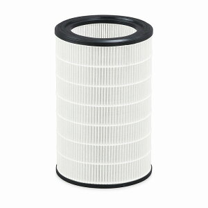 ACXI[} C@tB^[36 IAP-A100FL ̔PʁF1