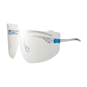 R{w ی߂ˁiyʃOXV[hj YF-800S(Y3}CcL) ̔PʁF1