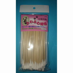 Zbg̔ӂӂȖ_ipȖ_j^p 10R