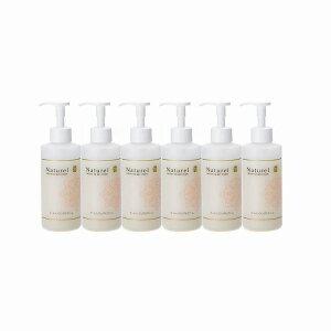 �y���[�J�[�����z���̃Z�b�g�i�Y�햳�j�e�X�^�[���̑��i NP0021(270GX6�z��)�y��������s�z