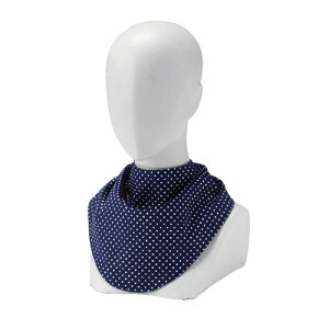 �y���������z �G���[���@6102�f�G�G�v�����@�l�C�r�[ �y���{�G���[���z�yCP�z