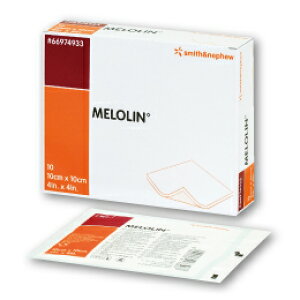 yX~XAhlt[z 10×10cm 10@ŋۍ