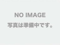【10月限定店内全品ポイント5倍】【ニプロ】 シリンジ10ml（針なし）100入　(ブルー)　品番08-658