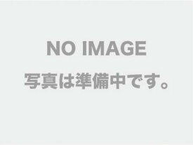 【ニプロ】 クリーンチューブ　(CT-5S)250イリ　品番31-917