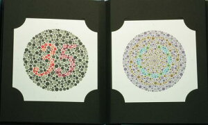 �F�o�����\ �Ό����i���۔�38�\) HP1205A �����F1