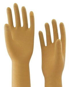 TR[vOXpp pE_[t[ 6.0 Ȏw ŋۍ 040720 F50