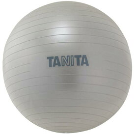 タニタサイズシリーズ ジムボール TS-962-SV 入数：1