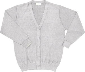 zCZ J[fBK CgO[ STCY WH90019 d