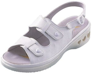 i[XT_p[tFNgi[X zCg M(23.0`23.5cm) PN100 F1