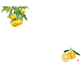 カミイソ産商 尺3 テーブルマット みかん 1組（100枚入） No.528 販売単位：1組(100枚入)