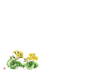 カミイソ産商 尺3 テーブルマット ツワブキ 1組（100枚入） No.527 販売単位：1組(100枚入)