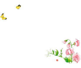 カミイソ産商 尺3テーブルマットちょうちょとスイートピー 1組（100枚入） No.521 販売単位：1組(100枚入)