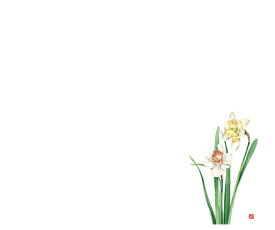 カミイソ産商 尺3 テーブルマット スイセン 1組（100枚入） No.529 販売単位：1組(100枚入)